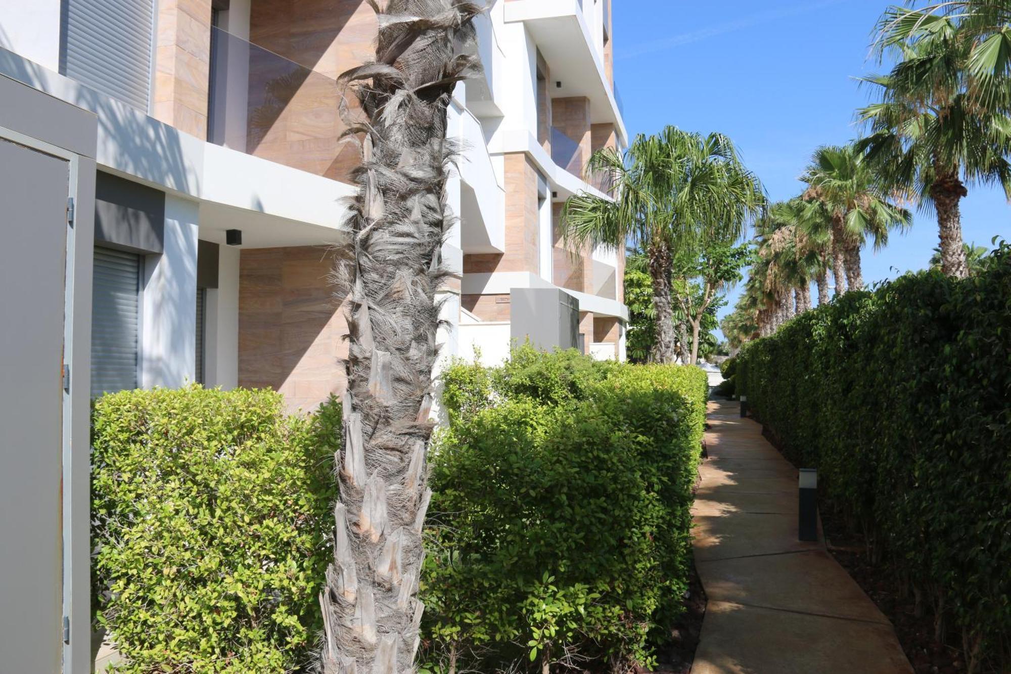 Luxusni Apartman Ve Spanelsku, Cabo Roig Orihuela Exterior foto